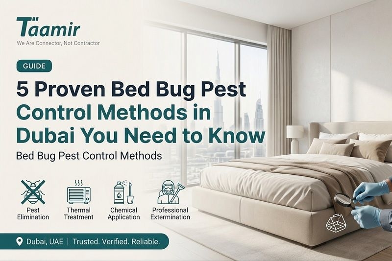 5 Proven Bed Bug Pest Control Methods in Dubai You Need to Know