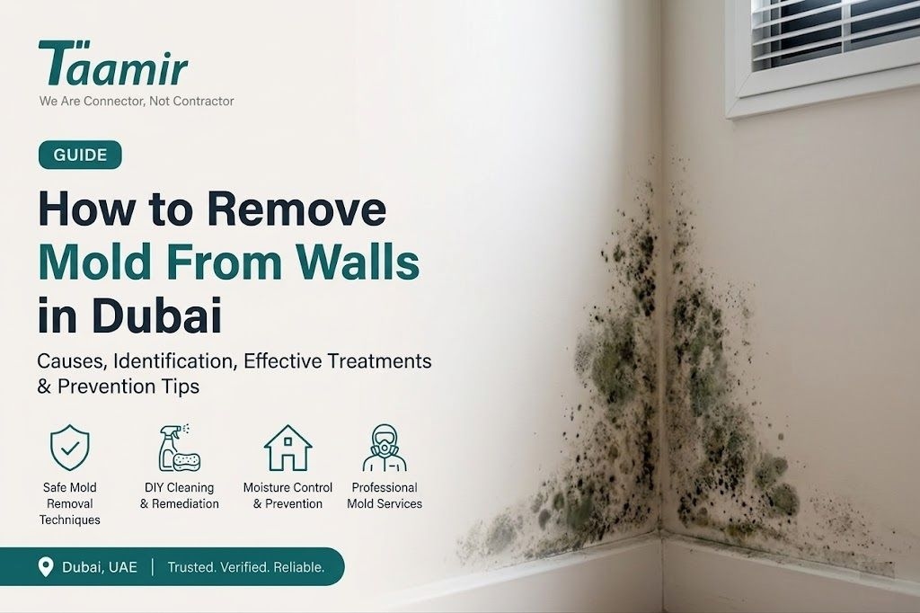 How to Remove Mold From Walls in Dubai