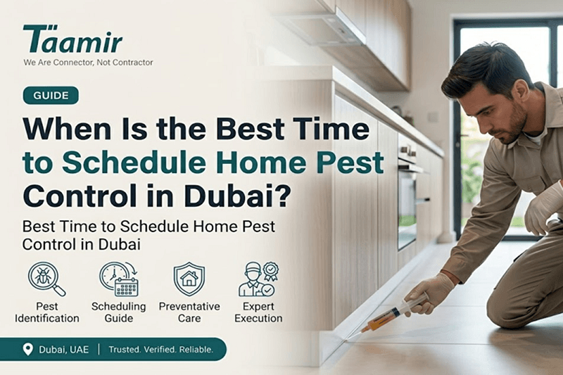When Is the Best Time to Schedule Home Pest Control in Dubai?
