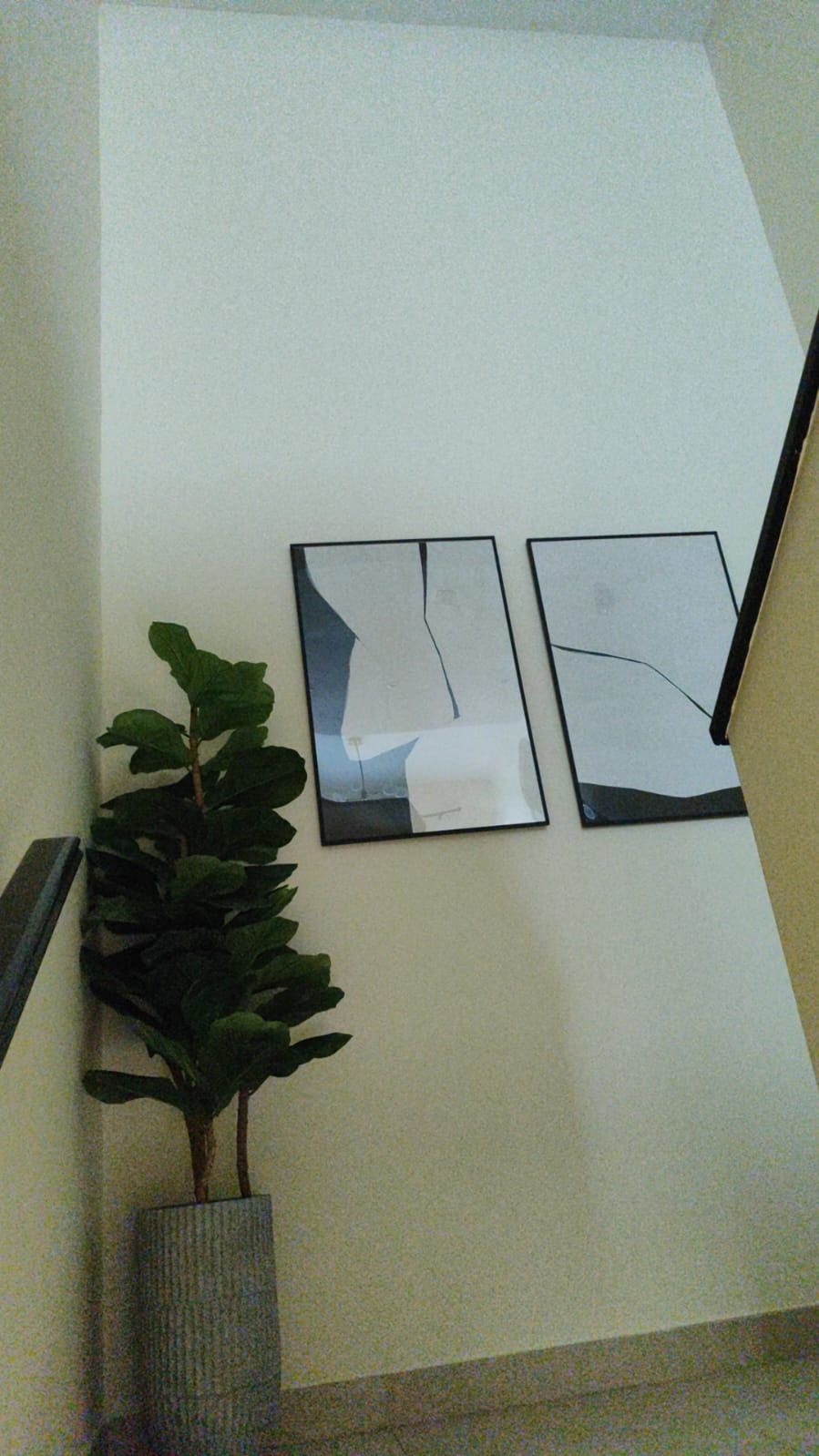 provider listings